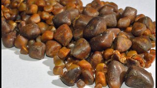 Eliminate Gall Stones Dr Joel Wallach