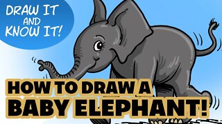 Draw It and Know It | How to Draw a Baby Elephant!