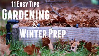 Prepare Your Garden for Winter in 11 Easy Steps | Winterizing Raised Garden Beds for Spring