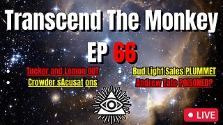 Transcend The Monkey EP 66