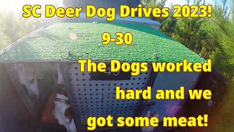 SC Deer Dog Drives 2023! 9-30... More Meat Down!