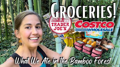 Grocery Hauls GALORE! COSTCO & Trader Joe's Groceries for My Large Family Vacation