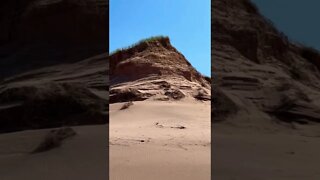 Sand dune where birds live