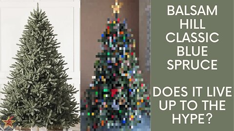 Balsam Hill Classic Blue Spruce Review