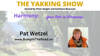 Bump in the Road: Overcoming Adversity & Finding Resilience | Pat Wetzel