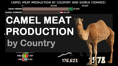 🐪 Annual Camel Meat Production by Country and World since 1961