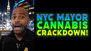 Cannabis Crackdown: NYC Mayor Eric Adams (Satire)