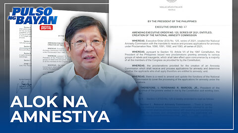 Mga miyembro ng C P P N P A NDF at iba pang rebeldeng grupo, hinimok na tumugon sa alok na amnestiya