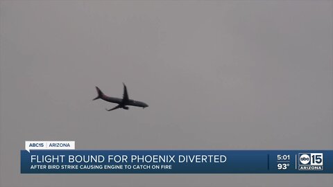 Passengers share experience after flight bound to Phoenix diverted