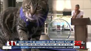 Hero cat to be honored on Rose Parade float