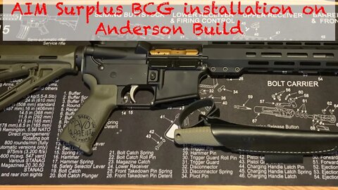 AIM Surplus BCG in 5.56 (Mr Anderson) | AYO! Daeni