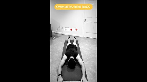 Swimmers/Bird Dogs #fitness #wellness #gym #health #pain #physicaltherapy #army #marines