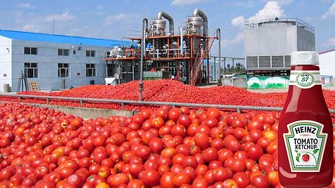 How Ketchup is ACTUALLY Made