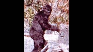 The Bigfoot and The Big Blue Man Part 2