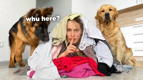 Hiding From My Dogs Under a GIANT Pile Of Clothes!