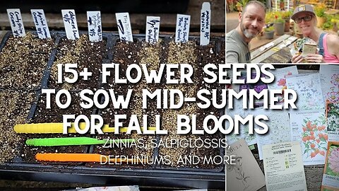 🌻 Flowers to Plant for Fall Blooms | Fall Flower Seed Sowing 🌻