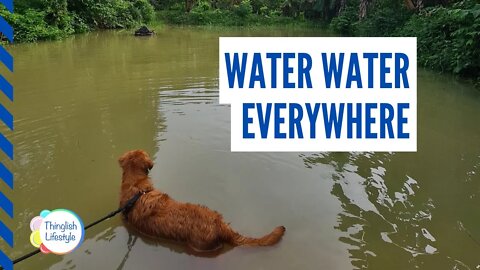 Water Water Everywhere!