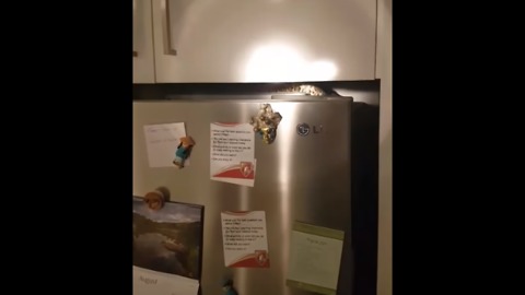 Family Catches a Glimpse of Something Strange On Top of Their Fridge