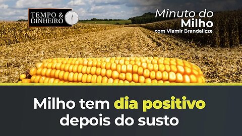 Milho tem dia positivo depois do susto