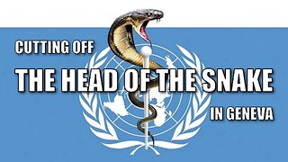 Cutting off the Head of the Snake in Geneva