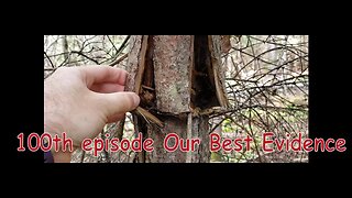 My Bigfoot Story Ep. 100 - Admitting I have A Bigfoot Problem