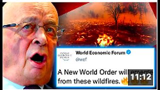 WEF Caught Paying Arsonists To 'Burn Down the World' as Part of Sick Depopulation Plan