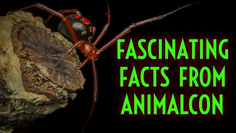 AMAZING Animal Facts from ANIMALCON 2023!