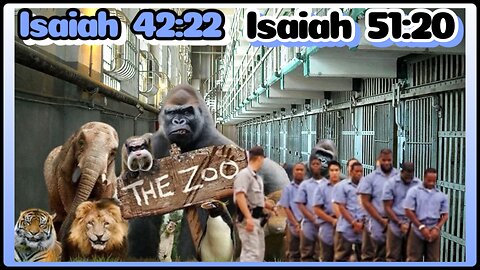 "THE ZOO" ISIAH 42:22 & ISIAH 51:20