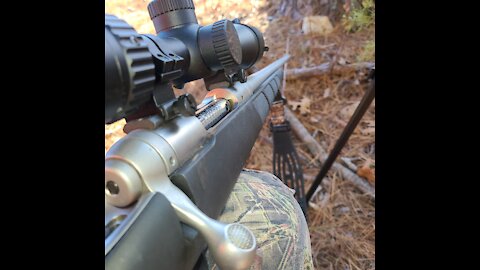 123g Hornady sst bullets out of a 6.5 creedmoor. water jug test