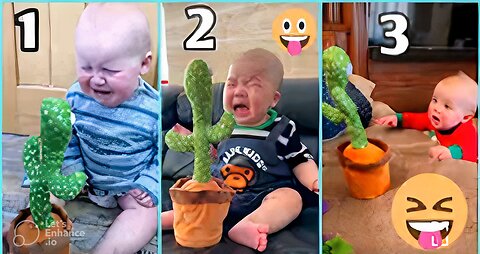 Cute Babies Playing With Dancing Cactus (hilarious)! Cute Baby Funny Videos