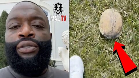 Rick Ross Saves Turtle Life While Cutting Grass! 🐢