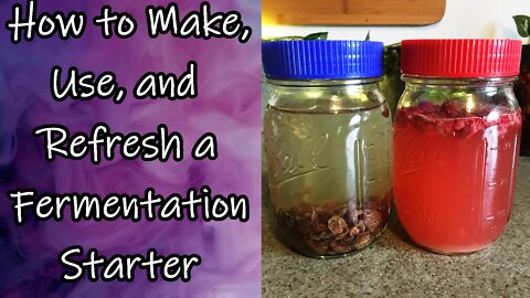 How to Make, Use, and Refresh a Fermentation Starter