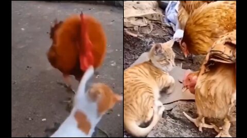 Funny animals 2023😆 - Funniest Cats and Dogs Video🐕🐈329 #shorts Part-9