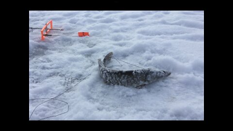 Big Cedar Lake Ice Fishing In Washington County Wisconsin