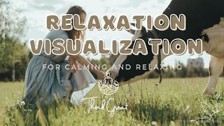 Relaxation Visualization - For calming and relaxing