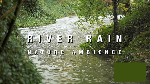 River Rain | 3 Hours Of Flowing Water And Pouring Rain | Relaxing Woodland Nature Ambience