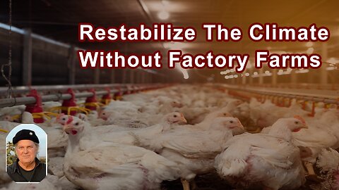 We Can Restabilize The Climate, But We Can't Have Factory Farms
