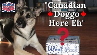 Hockey Night In Doggo Land | Dog Subscription Box Unboxing Hockey Theme