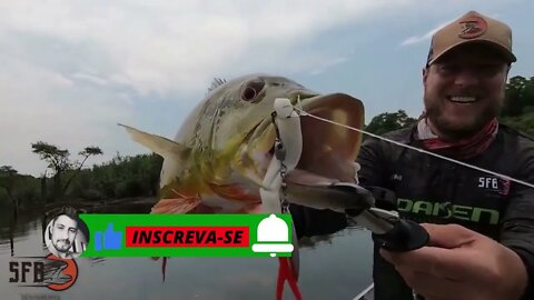 PESCA DE TUCUNARE NA AMAZONIA