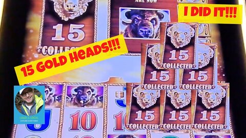 All 15 Gold Buffalo Heads Captured Live on Buffalo Gold Collection Slot!!!