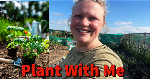 Secrets to a Bumper Tomato Crop - Allotment Gardening Revealed!