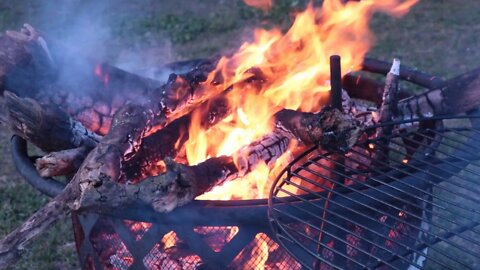 Relaxing Backyard Family Fire