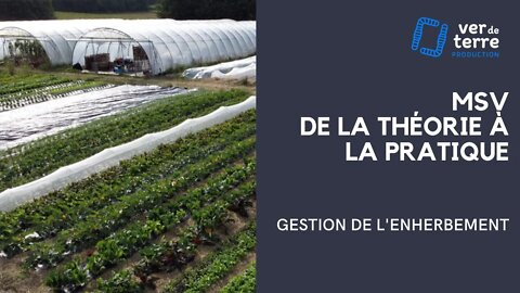 La Galerie du VDT - 8/10 - Le MSV de la théorie à la pratique : Gestion de l'enherbement