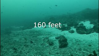 Anacapa Reef 160 feet