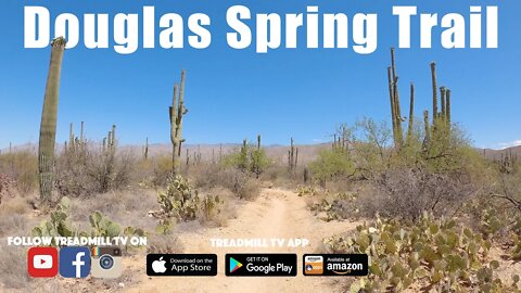 Virtual Run at Douglas Springs Trail Tucson