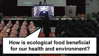 How is ecological food beneficial for our health and environment?