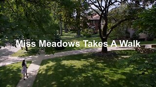 Miss Meadows Takes A Walk