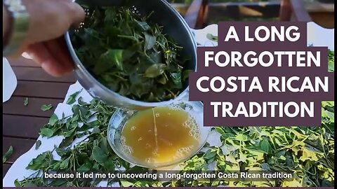 A Long Forgotten Costa Rican Tradition Tea Melts 6Lbs A Week