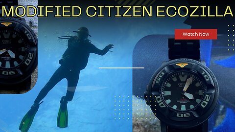 SCUBA Diving with a modded Citizen Ecozilla Dive Watch at Palancar Gardens, Cozumel, QRoo, Mexico