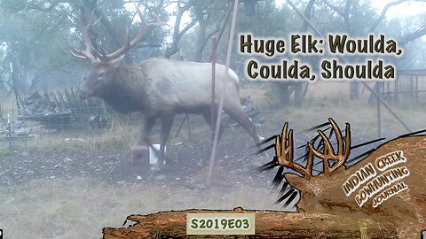 Huge Elk Woulda Coulda Shoulda - Pig Down Indian Creek Bowhunting Journal